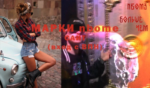 дживик Бородино